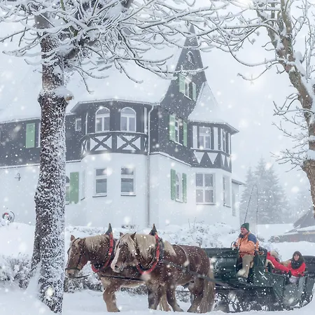 Ahornallee - Erzgebirge 公寓 *