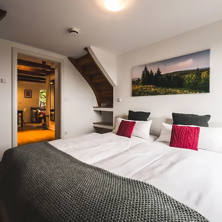 Apartment Ahornallee - Erzgebirge