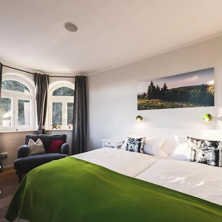 Ahornallee - Erzgebirge 公寓 *