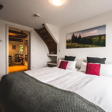 Ahornallee - Erzgebirge