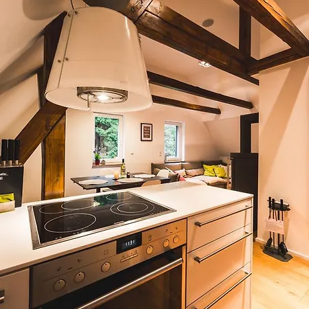 Ahornallee - Erzgebirge Apartment Kurort Bärenburg