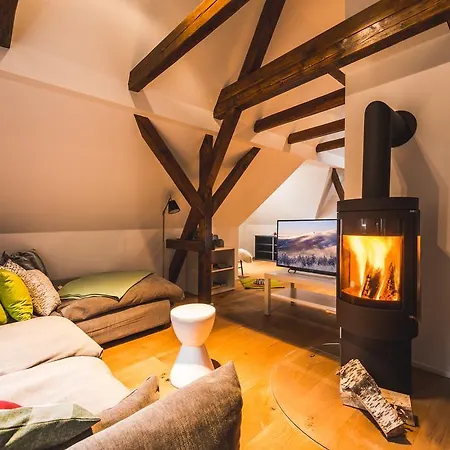 Apartment Ahornallee - Erzgebirge *