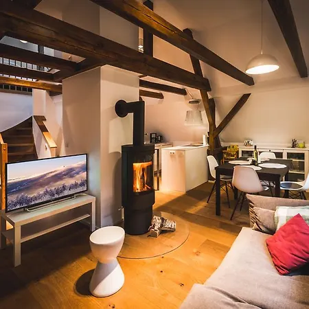 公寓 Ahornallee - Erzgebirge Kurort Bärenburg