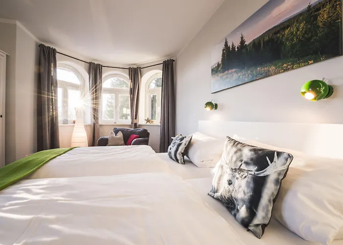 Ahornallee - Erzgebirge *