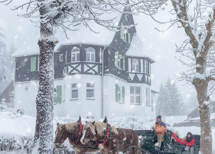 Ahornallee - Erzgebirge شقة *