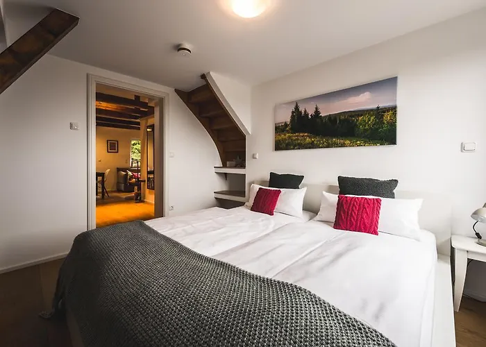 Ahornallee - Erzgebirge